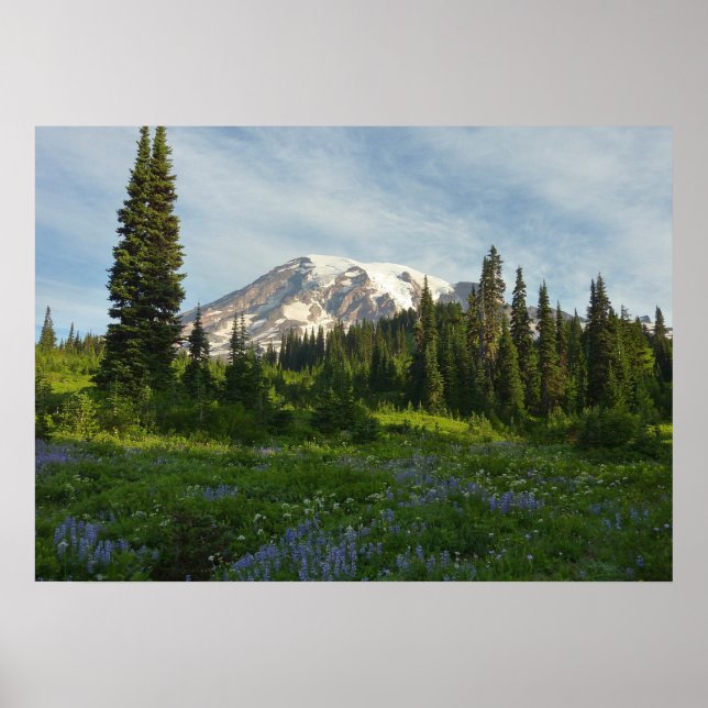 Mount Rainier Morgonljus Poster (Framsidan)