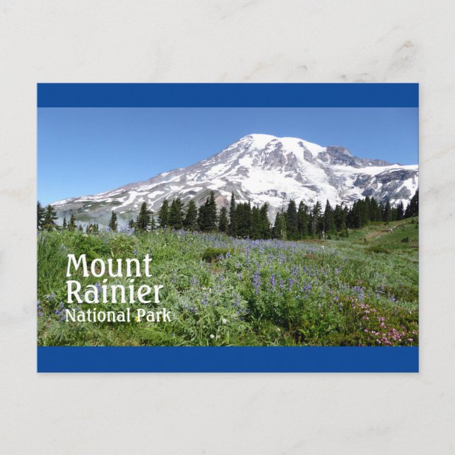 Mount Rainier N.P. med text Vykort (Framsida)