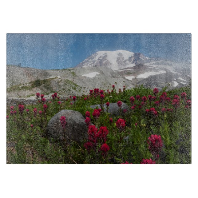 Mount Rainier National Park, Mount Rainier 1 (Framsidan)