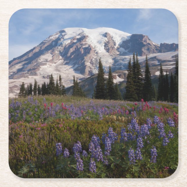 Mount Rainier National Park, Mount Rainier 3 Underlägg Papper Kvadrat (Framsidan)