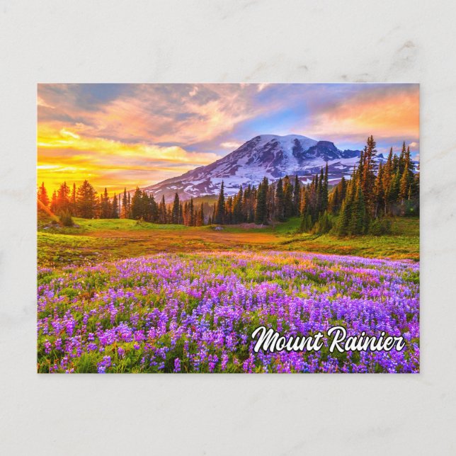 Mount Rainier National Park, Washington Vykort (Framsida)