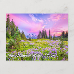 Mount Rainier National Park, Washington Vykort