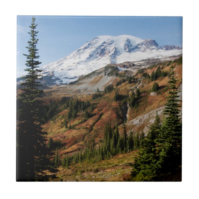 Mount Rainier nationalpark, höst Kakelplatta (Framsidan)