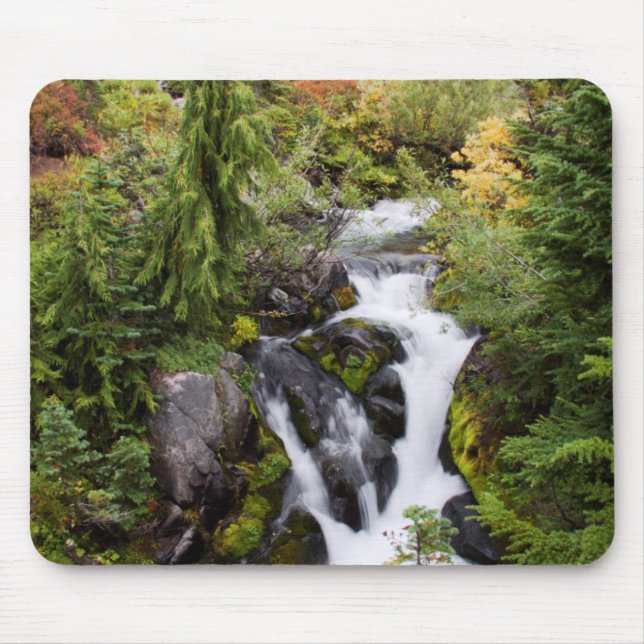 Mount Rainier nationalpark, höstbäck Musmatta (Framsidan)