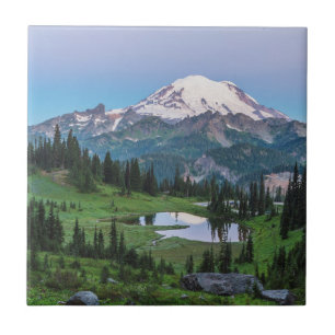 Mount Rainier nationalpark Kakelplatta