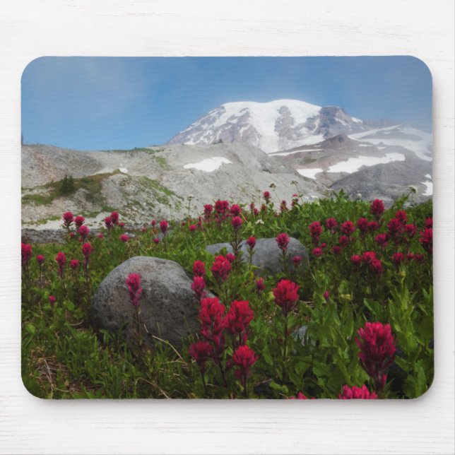 Mount Rainier nationalpark, Mount Rainier 1 Musmatta (Framsidan)