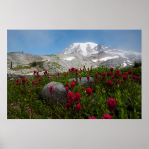 Mount Rainier nationalpark, Mount Rainier 1 Poster