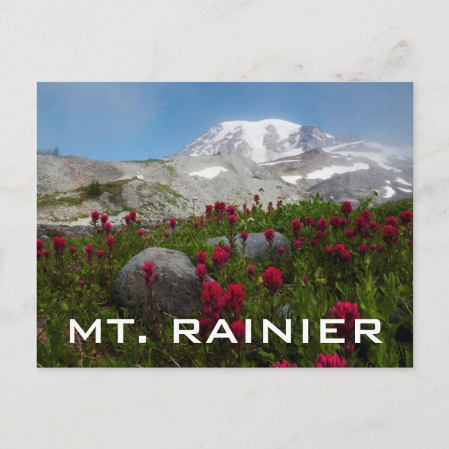 Mount Rainier nationalpark, Mount Rainier 1 Vykort (Framsida)