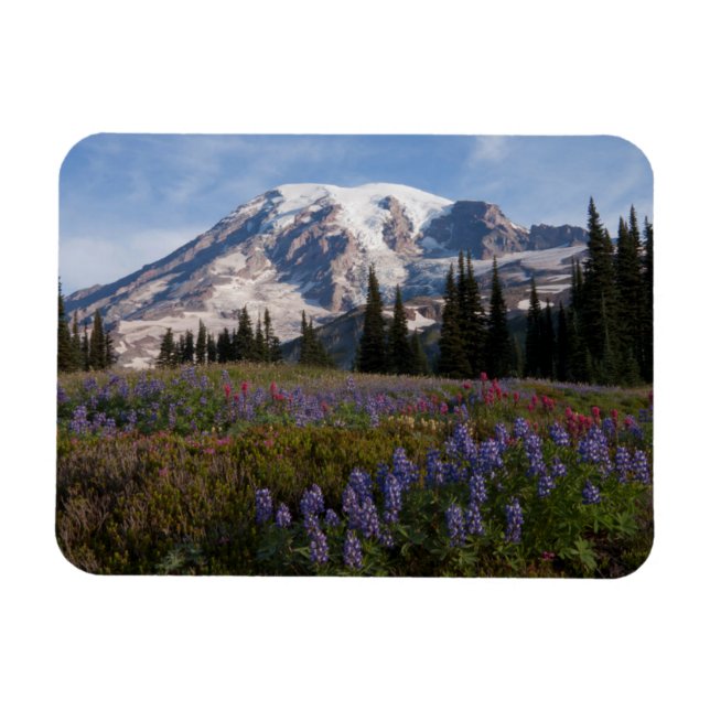 Mount Rainier nationalpark, Mount Rainier 3 Magnet (Horisontell)