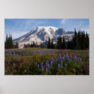 Mount Rainier nationalpark, Mount Rainier 3 Poster