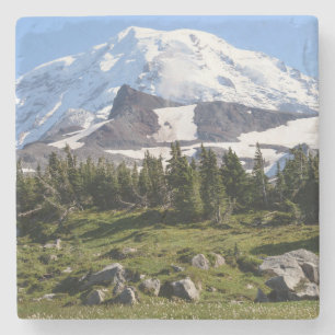 Mount Rainier Nationalpark, WA. Spray Park Stenunderlägg