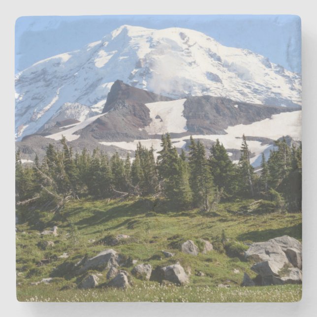 Mount Rainier Nationalpark, WA. Spray Park Stenunderlägg (Framsidan)