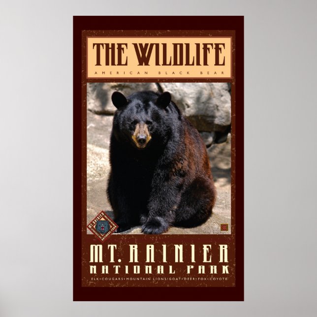 Mount Rainier Nat'l Park Poster (Framsidan)