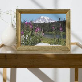 Mount Rainier och Wildblommor Scenia Ligcape Fototryck