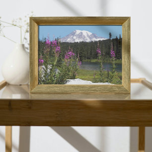 Mount Rainier och Wildblommor Scenia Ligcape Fototryck