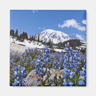 Mount Rainier på paradiset pekar Magnet