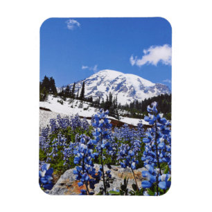 Mount Rainier på paradiset pekar Magnet