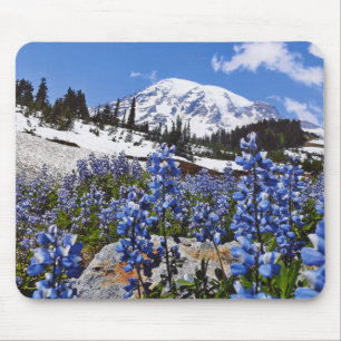 Mount Rainier på paradiset pekar Musmatta