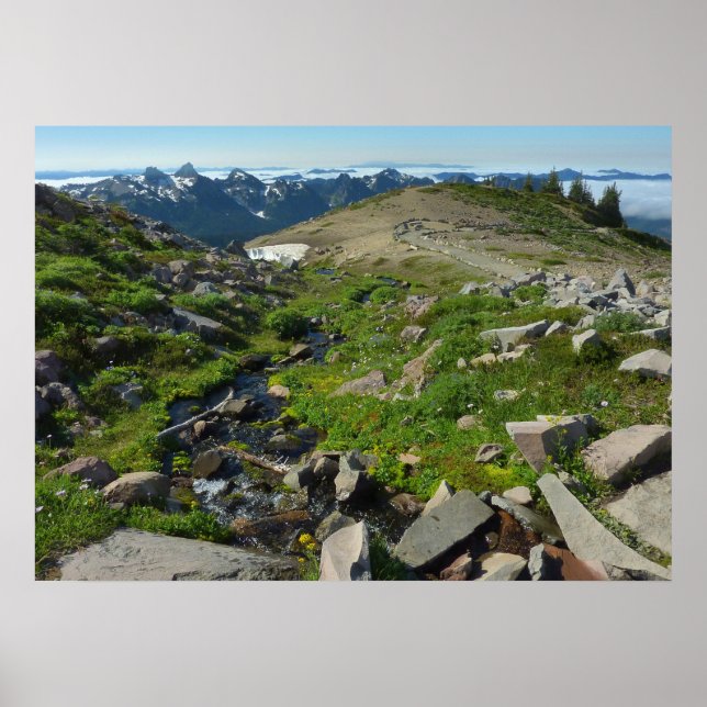 Mount Rainier Panorama Point Poster (Framsidan)