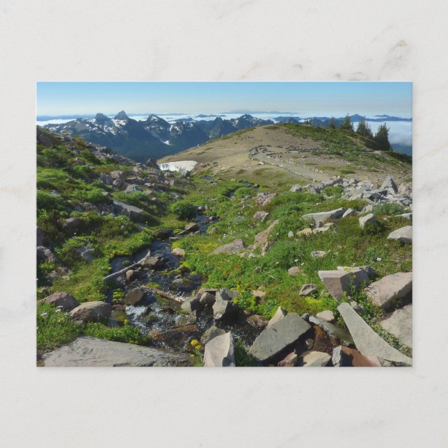Mount Rainier Panorama Point Vykort (Framsida)