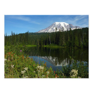 Mount Rainier sjöreflektion med vilda blommor Fototryck