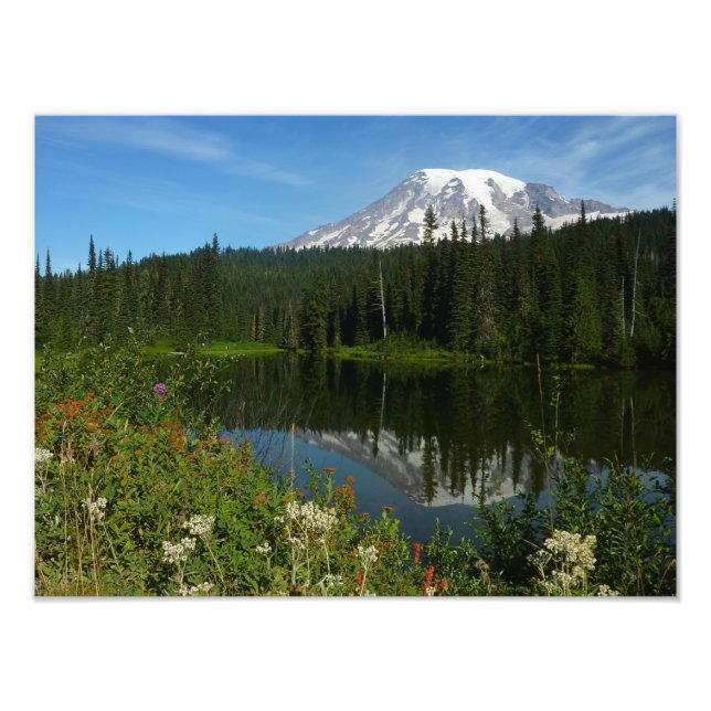 Mount Rainier sjöreflektion med vilda blommor Fototryck (Framsidan)