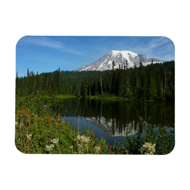 Mount Rainier sjöreflektion med vilda blommor Magnet (Horisontell)