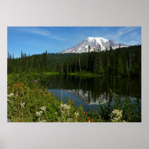 Mount Rainier sjöreflektion med vilda blommor Poster