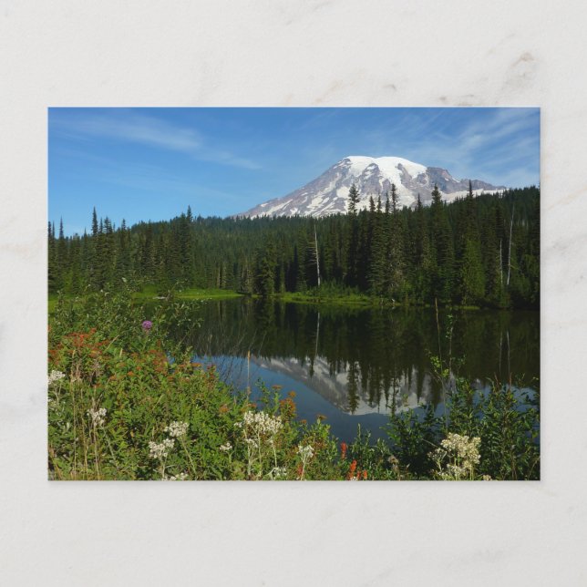 Mount Rainier sjöspegling med vilda blommor Vykort (Framsida)