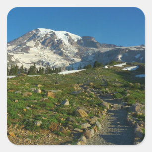Mount Rainier Skyline Trail Utsikt Fyrkantigt Klistermärke