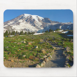 Mount Rainier Skyline Trail Utsikt Musmatta