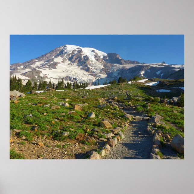 Mount Rainier Skyline Trail Utsikt Poster (Framsidan)