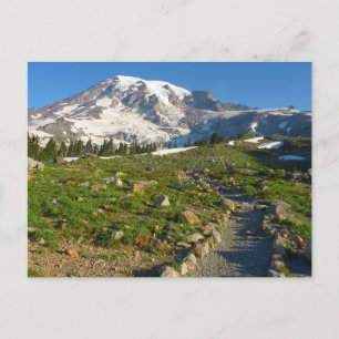 Mount Rainier Skyline Trail Utsikt Vykort