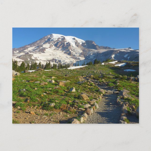 Mount Rainier Skyline Trail Utsikt Vykort (Framsida)