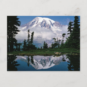 Mount Rainier speglas i en fjällsjö Vykort