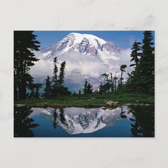 Mount Rainier speglas i en fjällsjö Vykort (Framsida)