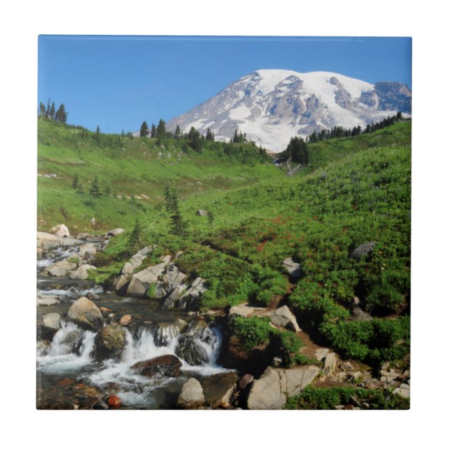 Mount Rainier, vattenfall, snötäckt Kakelplatta (Framsidan)