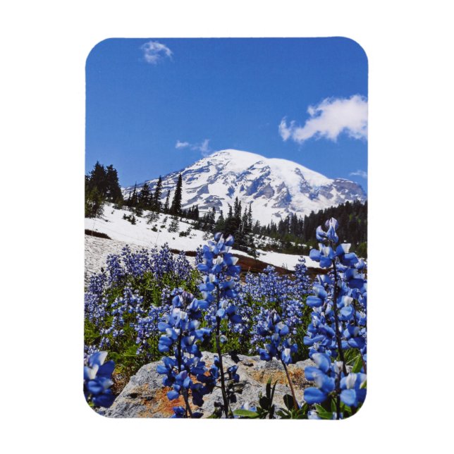 Mount Rainier vid Paradise Point Magnet (Vertikal)