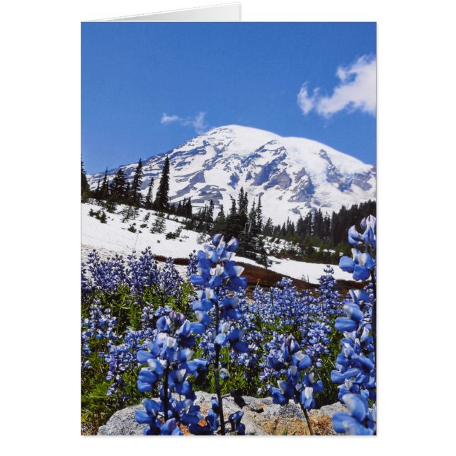 Mount Rainier vid Paradise Point OBS Kort (Framsidan)