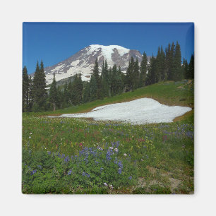 Mount Rainier, vilda blommor och snö Magnet