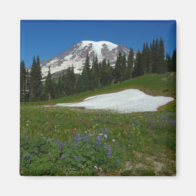 Mount Rainier, vilda blommor och snö Magnet (Framsidan)