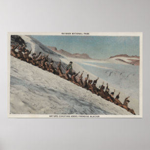 Mount Rainier WA - fodra av folk som in Sledding Poster