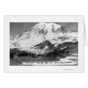 Mount Rainier WA-korsning Mazama Ridge på häst Hälsningskort
