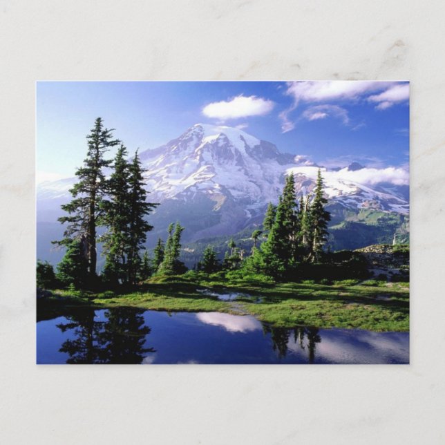 Mount Rainier Washington Vykort (Framsida)