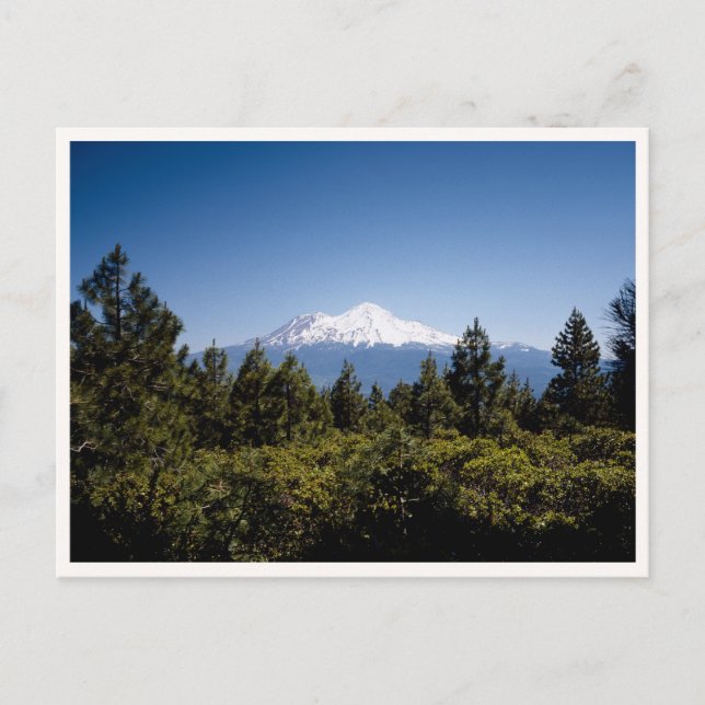 Mount Ranier Washington Pacific Northwest Vykort (Framsida)