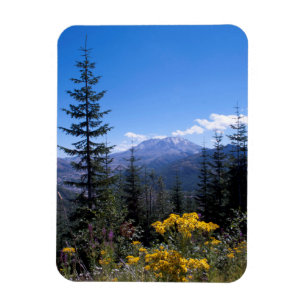 Mount Saint Helens Magnet