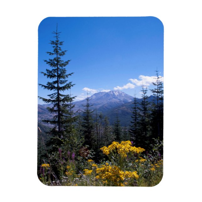 Mount Saint Helens Magnet (Vertikal)