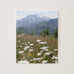 Mount Saint Helens Pussel