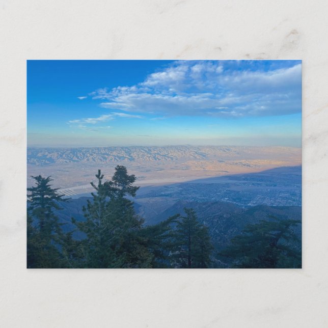 Mount San Jacinto State Park Vykort (Framsida)