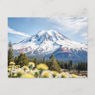 Mount Shasta California Snö Top Vykort
